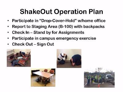 Shakeout Plan