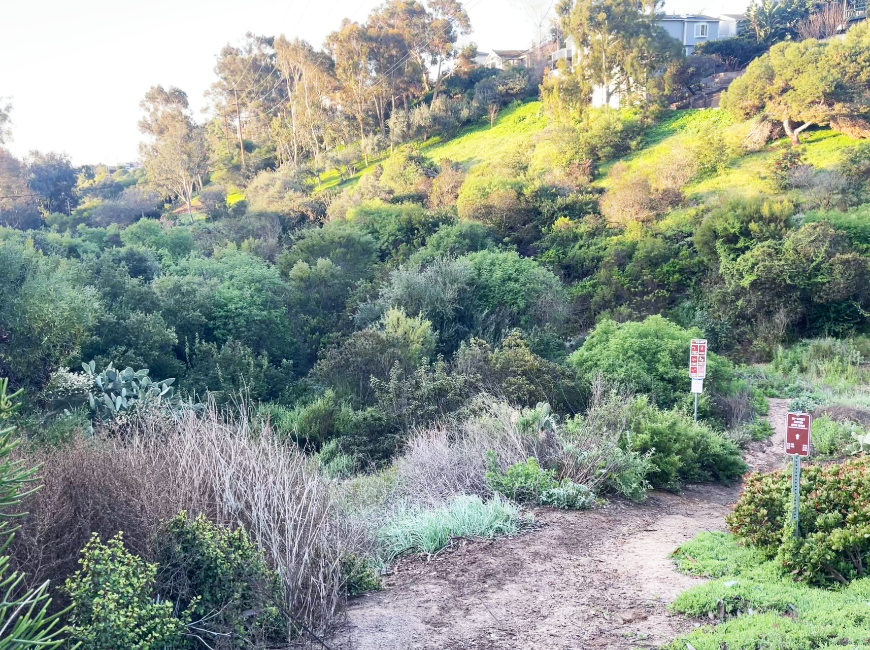 32nd Street Canyon